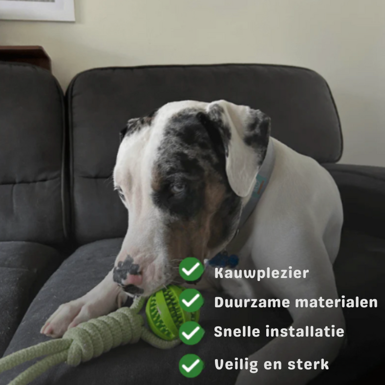 BungeeToy| The Ultimate Tug and Chew Toy for Active Dogs