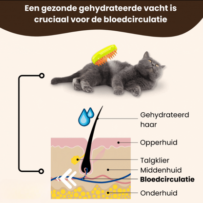 SteamBrush- For Cats & Dogs