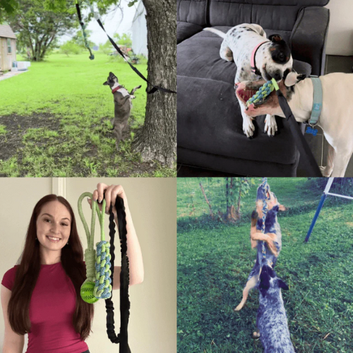 BungeeToy| The Ultimate Tug and Chew Toy for Active Dogs