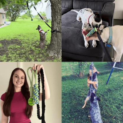 BungeeToy| The Ultimate Tug and Chew Toy for Active Dogs