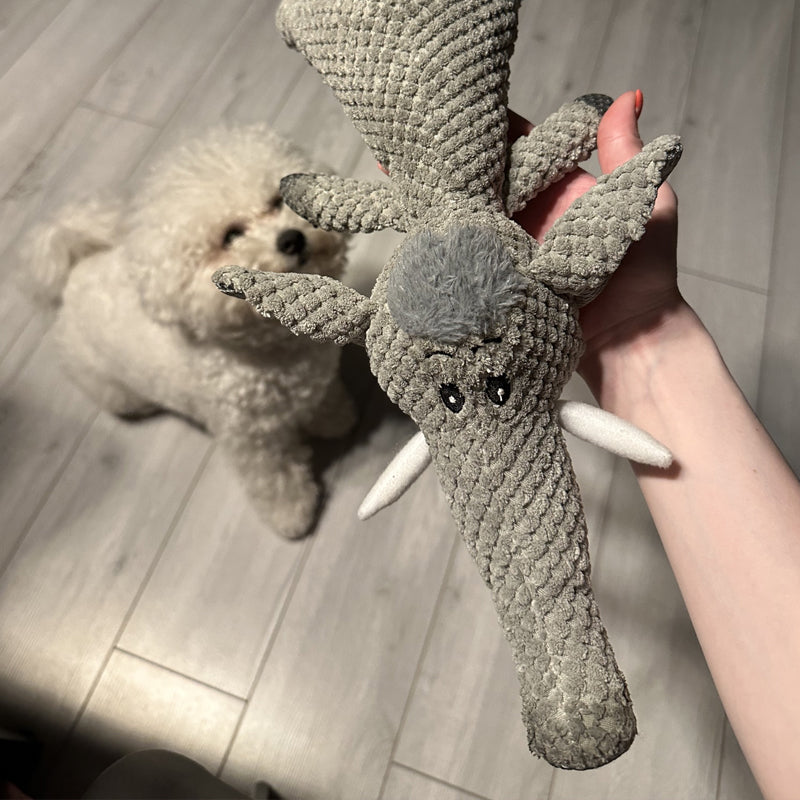 Rakker | Extra strong toy