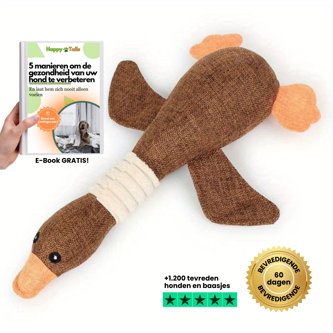 Ducky - The indestructible duck that entertains your dog