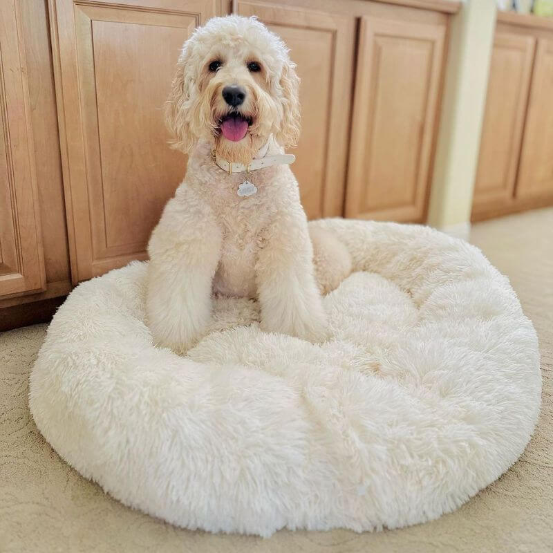 Flufz - Anti-Anxiety Dog Bed