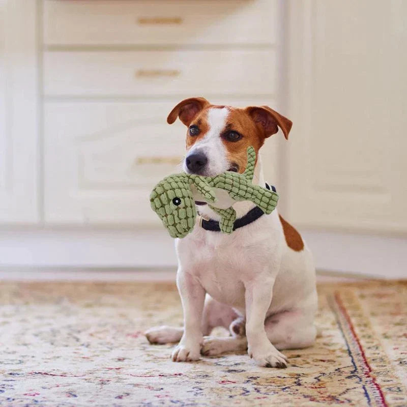 DinoPet - Dinosaur Plush Toy | For Your Favorite Pet - Cute - Hours of Playtime