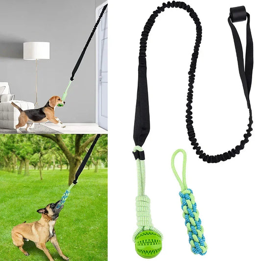 BungeeToy| The Ultimate Tug and Chew Toy for Active Dogs