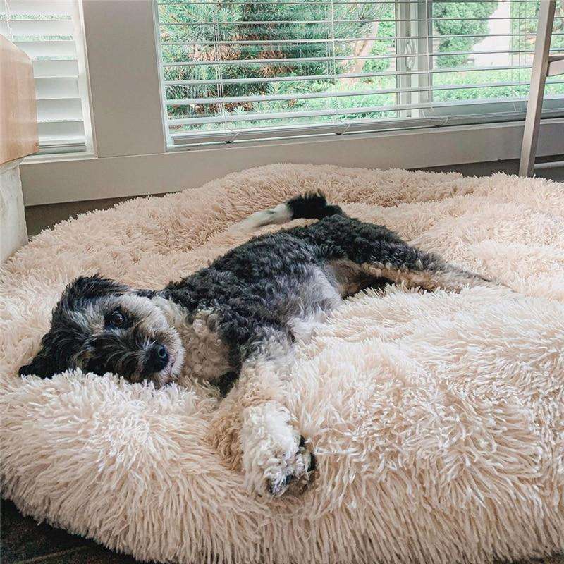 Flufz - Anti-Anxiety Dog Bed
