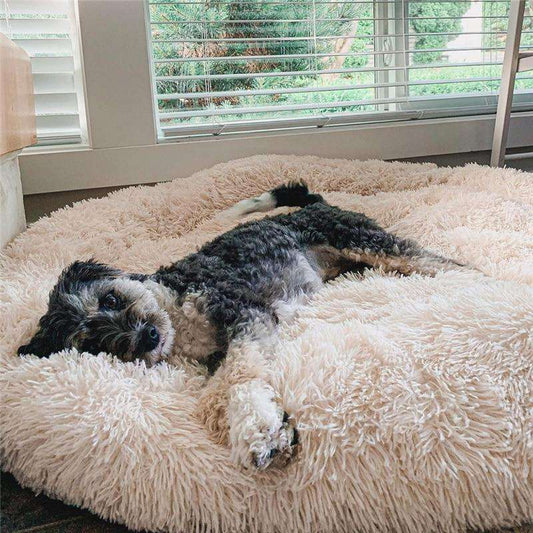 Flufz - Anti-Anxiety Dog Bed