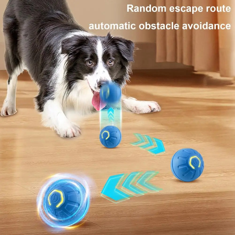BouncyBuddy Pet Play Ball